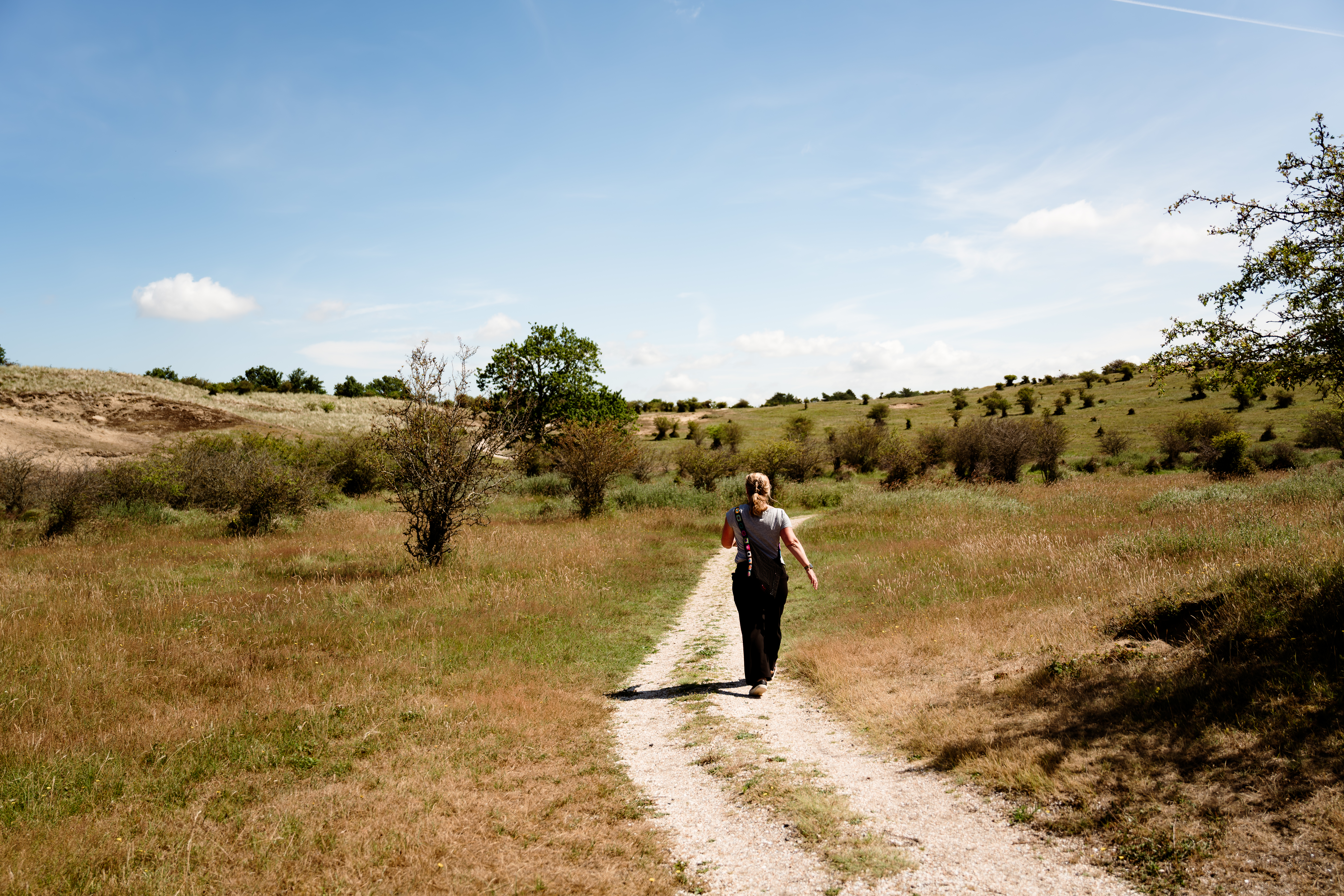 Nationaal Park Zuid-Kennemerland
