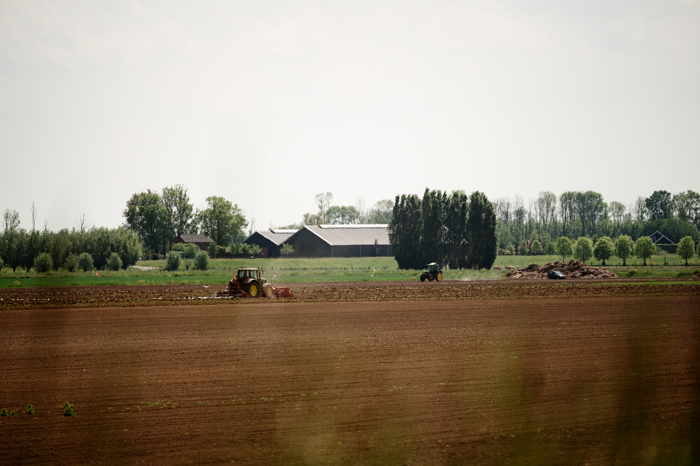 Natitonaal Park De Biesbosch