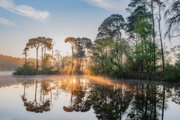 Van Gogh Nationaal Park 