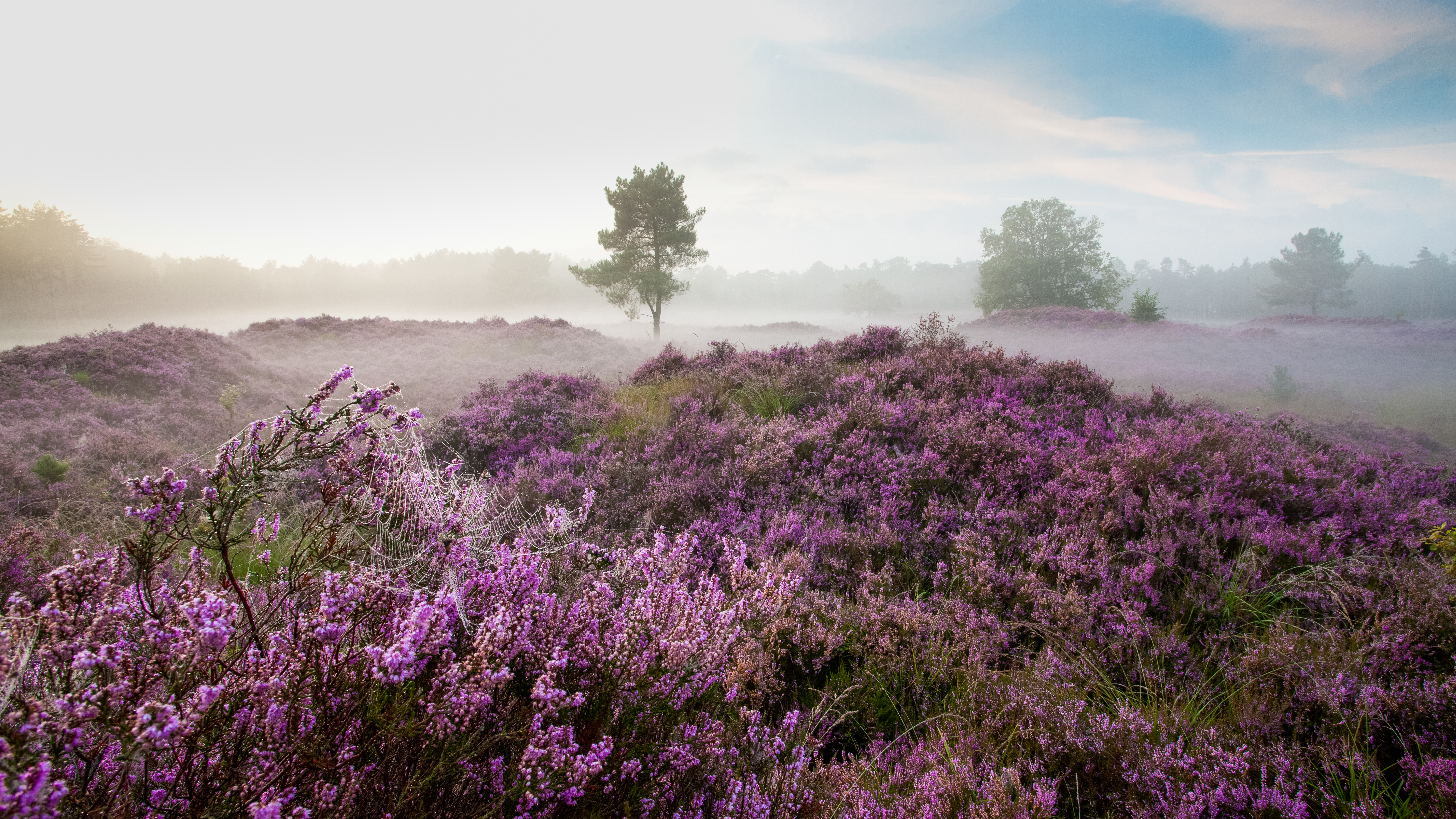 Border Park Kalmthoutse Heide | Nationale Parken