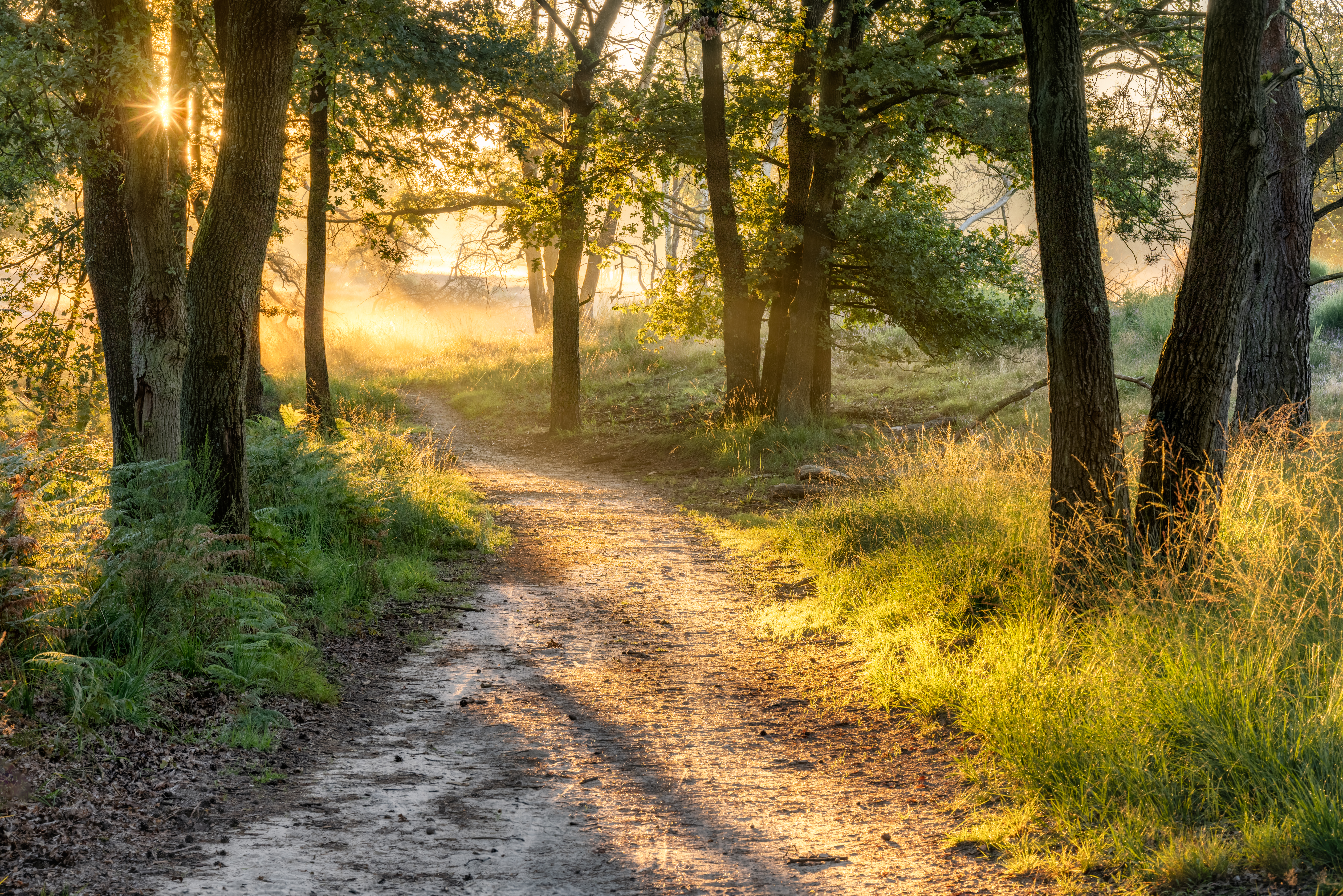 Nationalpark De Meinweg