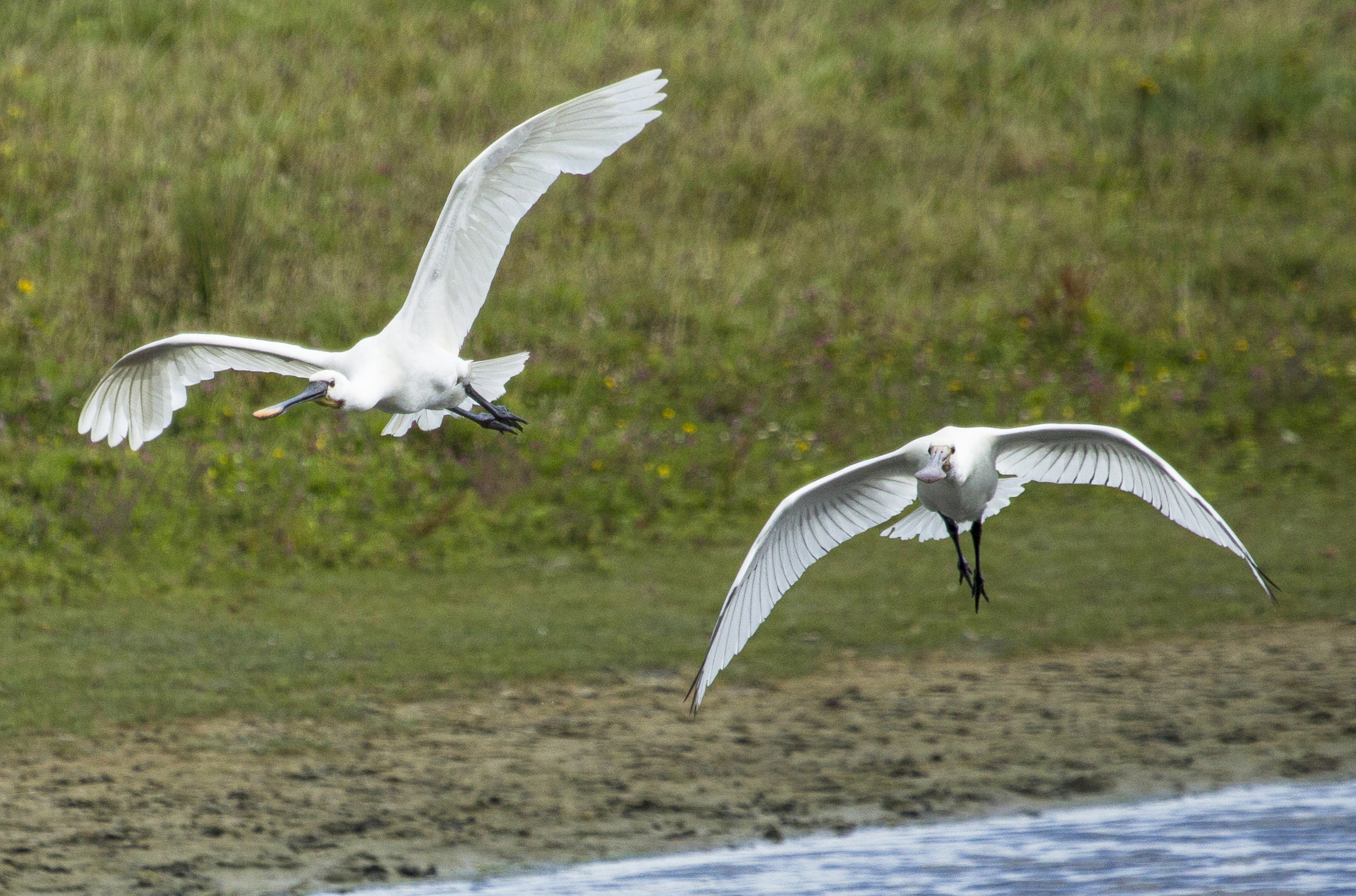 Nationaal Park Nieuw Land