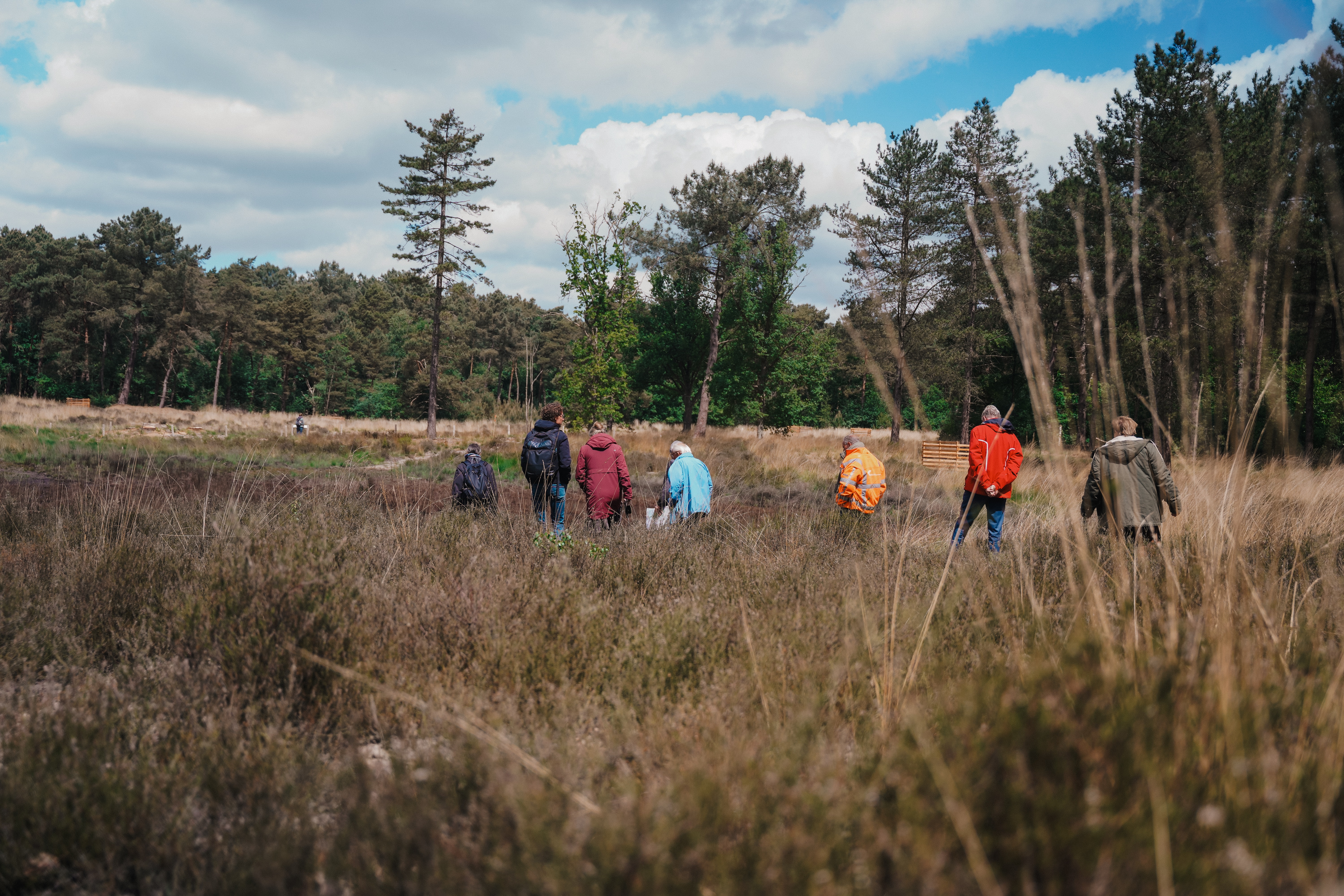 Nationaal Park Kalmthoutse Heide 