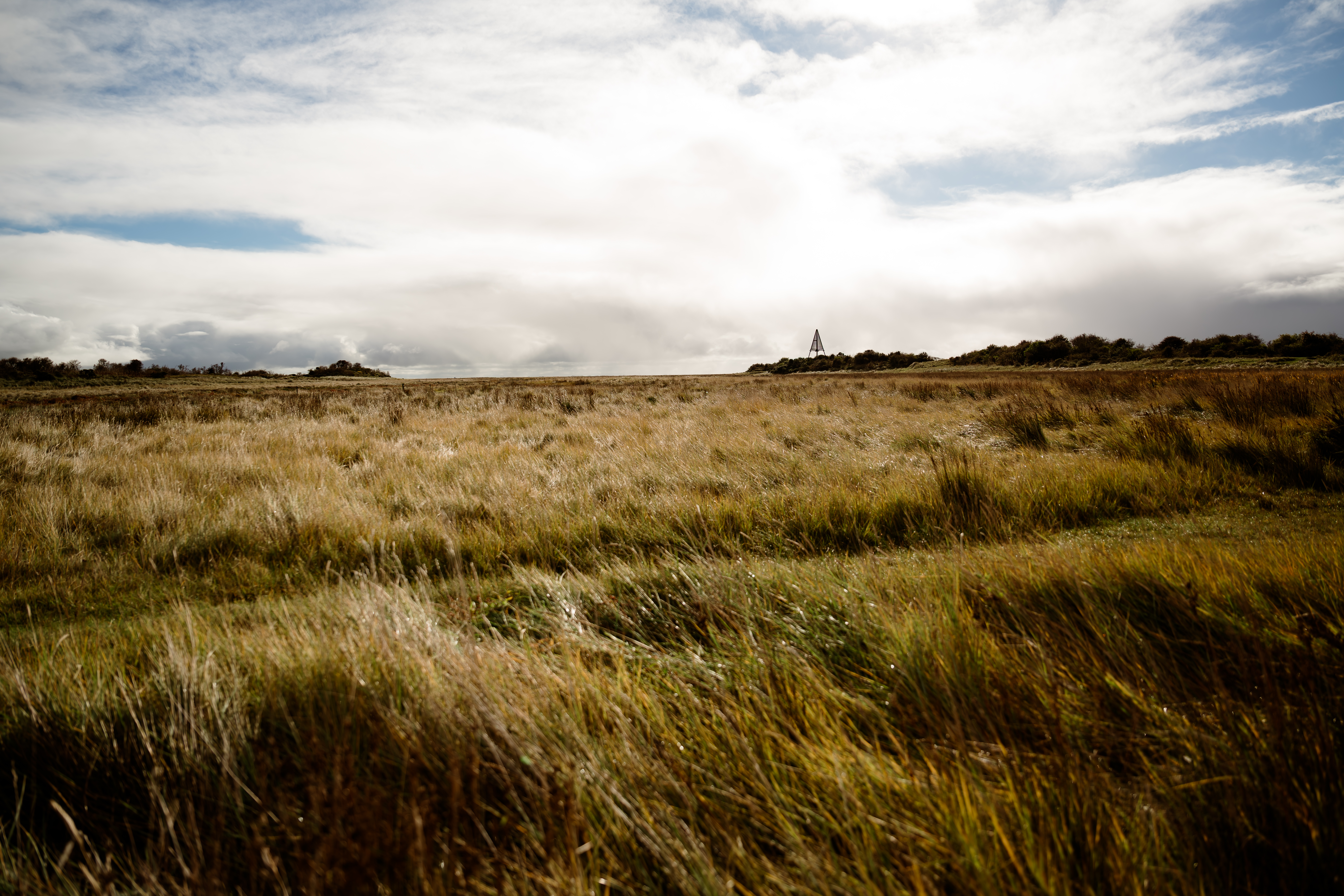 Nationaal Park Schiermonnikoog