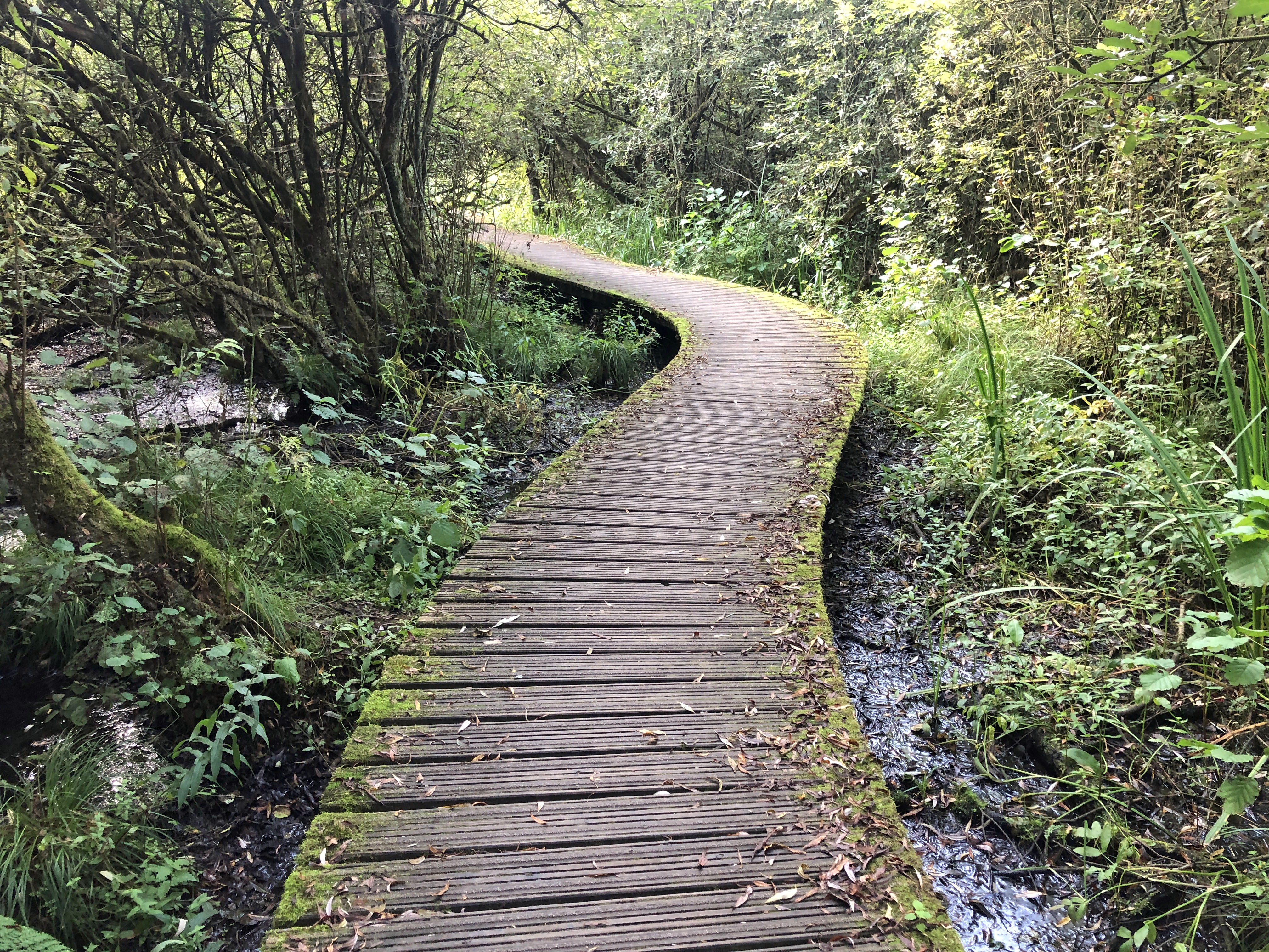 Van Gogh Nationaal Park 