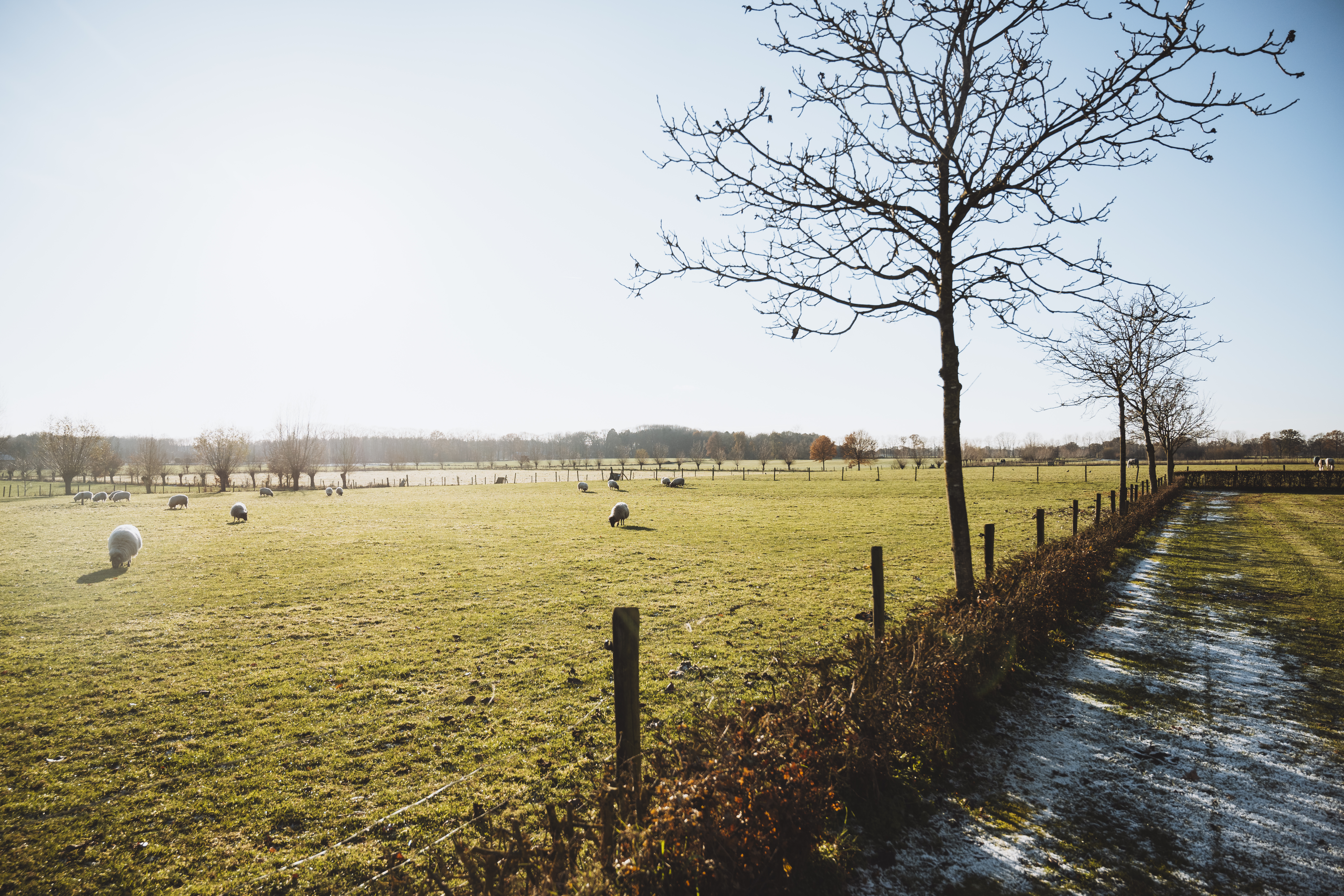 Van Gogh Nationaal Park 