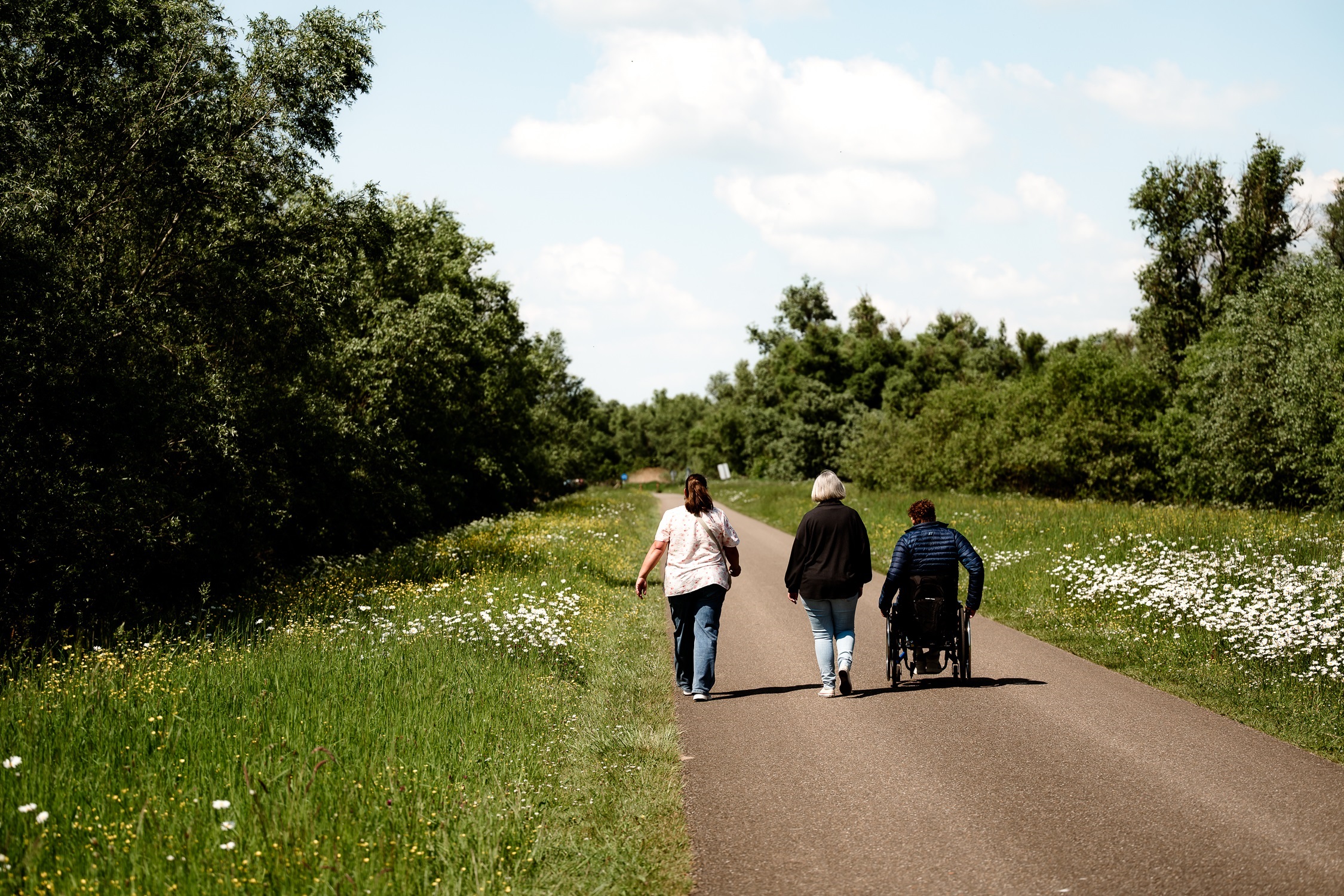 Nationaal Park De Biesbosch