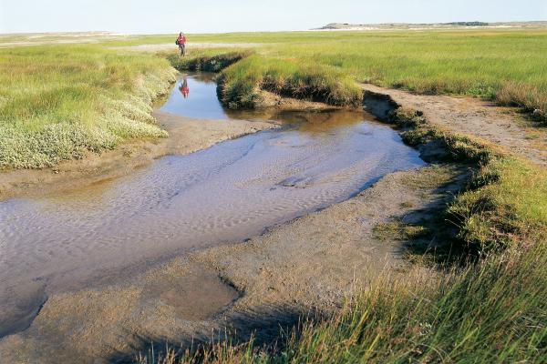 Nationaal Park Duinen van Texel