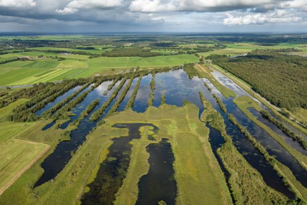 Nationaal Park Weerribben Wieden