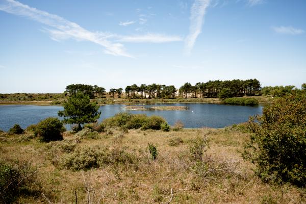 National Park Zuid-Kennemerland