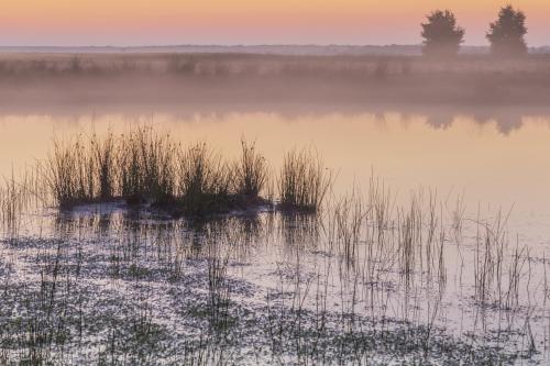 Nationaal Park Dwingelderveld