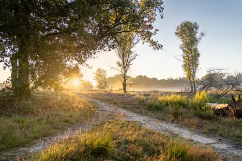 Nationaal Park De Meinweg