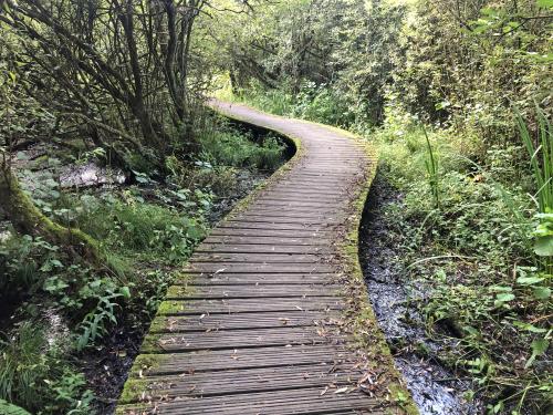 Van Gogh Nationaal Park 