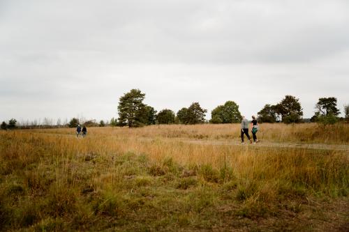 Nationaal Park De Peel