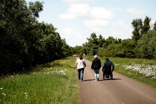 Nationaal Park De Biesbosch